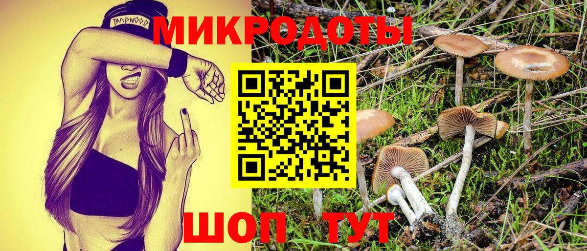 Вичуга  Псилоцибиновые грибы Cubensis  Вход с VPN 